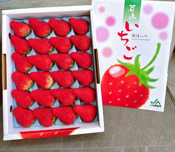 【帕查嬤嬤】????日本 德島 眉山 紅顏草莓 禮盒｜日本草莓禮盒