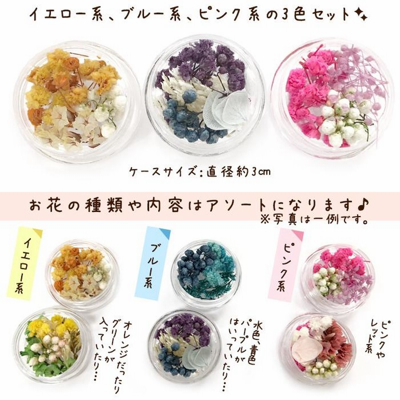 ドライフラワー (27) 3色ケースセット ドライフラワー 花材 ブーケ  