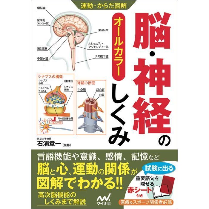 脳・神経のしくみ-オ−ルカラ−