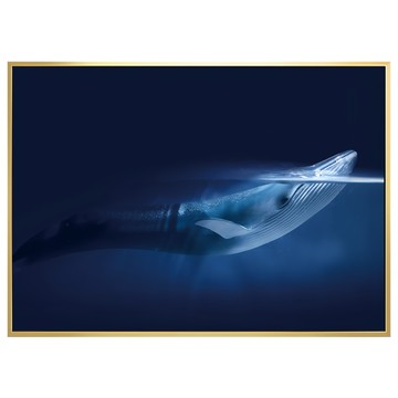 菠蘿選畫所 靈感ANSL3420G 掛畫  40 x 30cm  金色框海洋鯨魚主題掛畫  金色