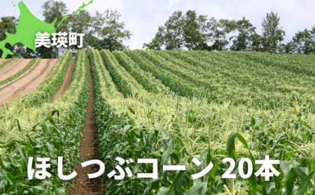 黒木農場　令和６年産　とうもろこし（ほしつぶコーン）20本[020-52]