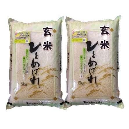 福島県会津産 玄米 石抜き処理済 ひとめぼれ 10kg(5kg×2袋) 令和5年産