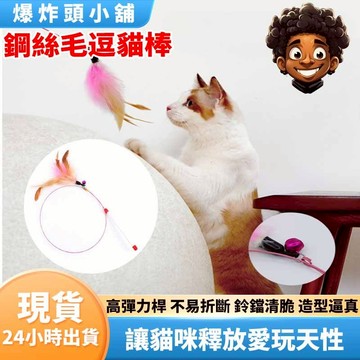【隔日到貨】鋼絲逗貓棒 鋼絲羽毛逗貓棒 逗貓棒 貓咪玩具 貓 寵物用品逗貓 逗貓玩具 貓草 木天蓼 逗貓 爆炸頭小舖