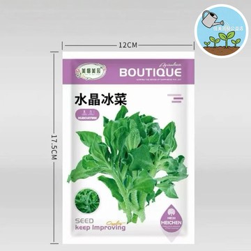 【原廠包裝】🥬水晶冰菜種子｜自帶天然鹽晶 脆嫩多汁 盆栽陽台可種 沙拉必備 耐寒好栽 快速發芽 新手推荐
