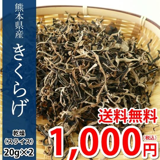 きくらげ 乾燥木耳 送料無料 希少な国産 スライス 20g×2袋 熊本県産