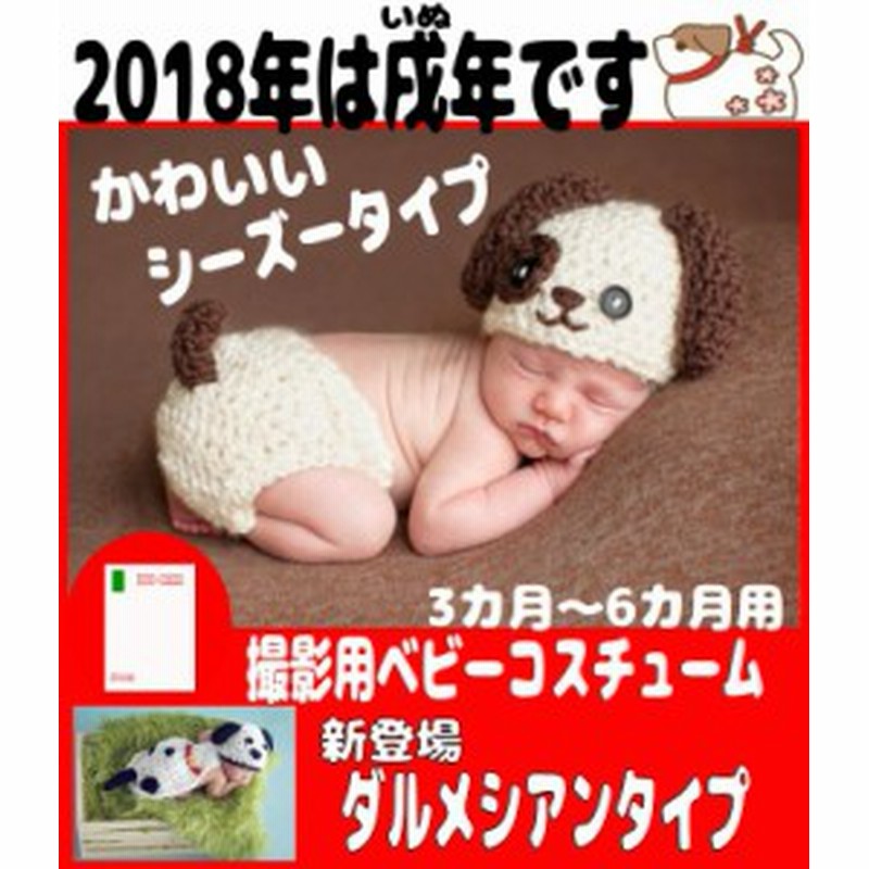 コスプレ コスチューム コスプレ衣装 ニット帽 赤ちゃん 子供 出産祝い シーズー ダルメシアン 犬 通販 Lineポイント最大1 0 Get Lineショッピング