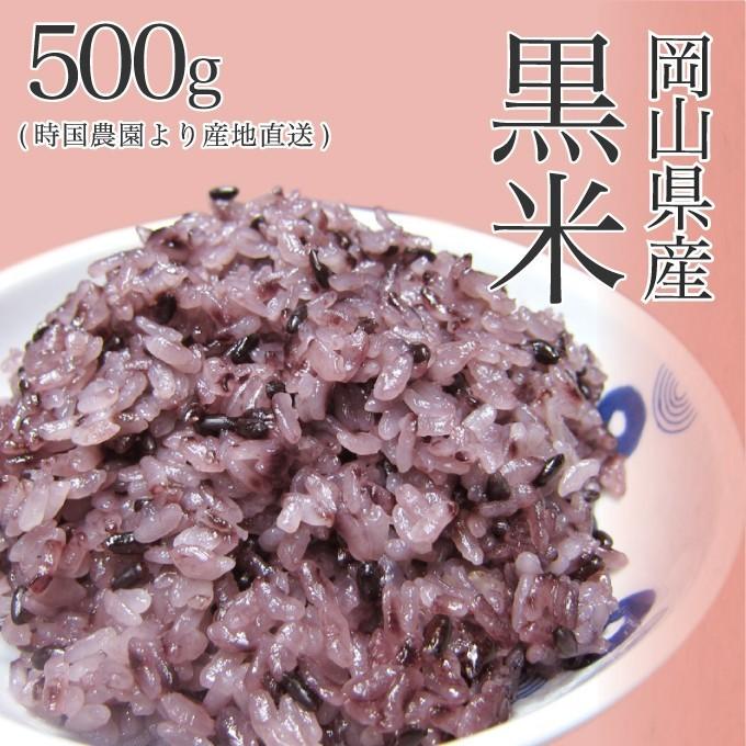 岡山県産 黒米 500g 新米 令和4年産 時国農園より産地直送