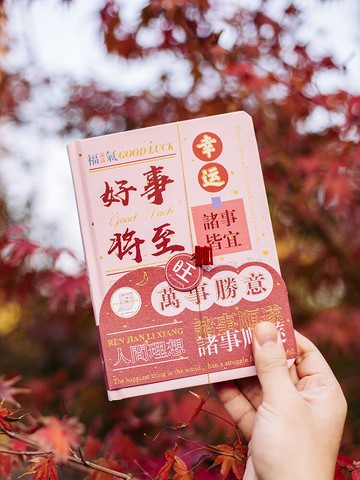 悟生人間理想手賬筆記本子可愛少女心簡約網紅高顏值女生日記本文藝ins風復古學生記事本燙金全彩內頁精裝本