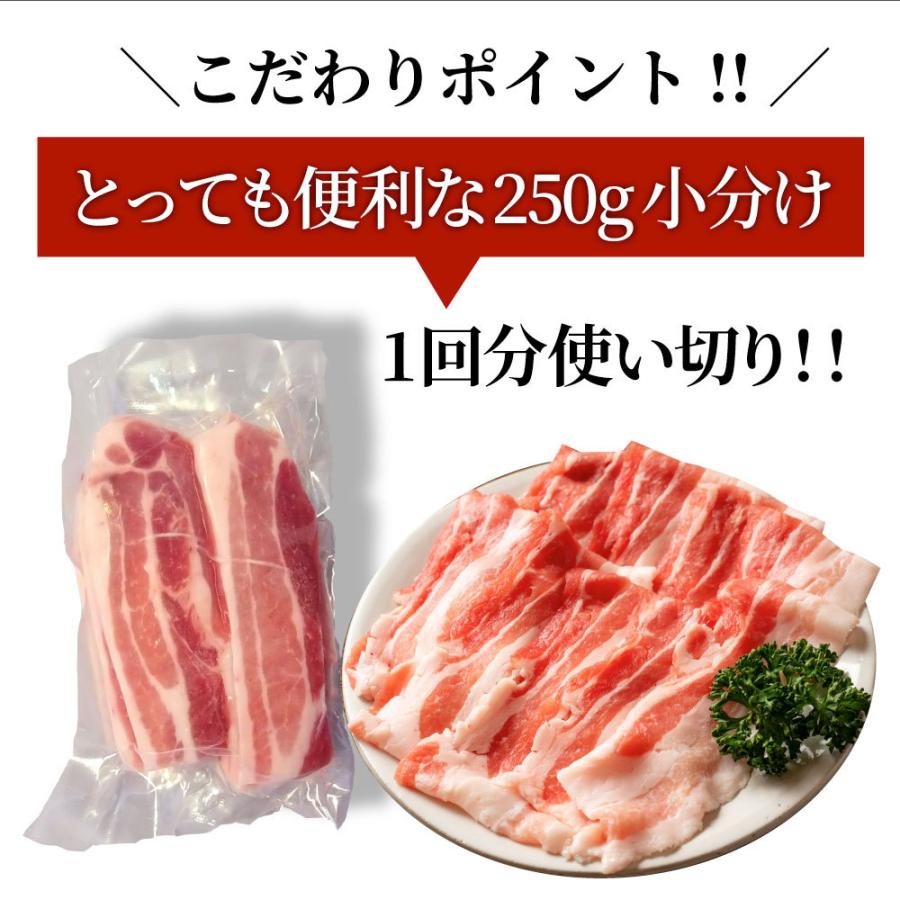 豚バラ肉 5kg スライス 焼肉 豚肉 250g×20パック メガ盛り 豚肉 バーベキュー 焼肉 スライス バラ 小分け 便利