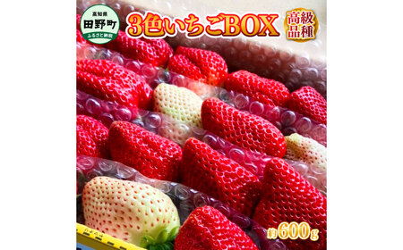 ≪農園直送≫ 高級品種3色いちごBOX 計600g程度 いちご イチゴ 苺 果物 フルーツ 詰め合わせ 高級 品種 海惚れいちご 天使のイチゴ 真紅の美鈴 常温 冷蔵 配送