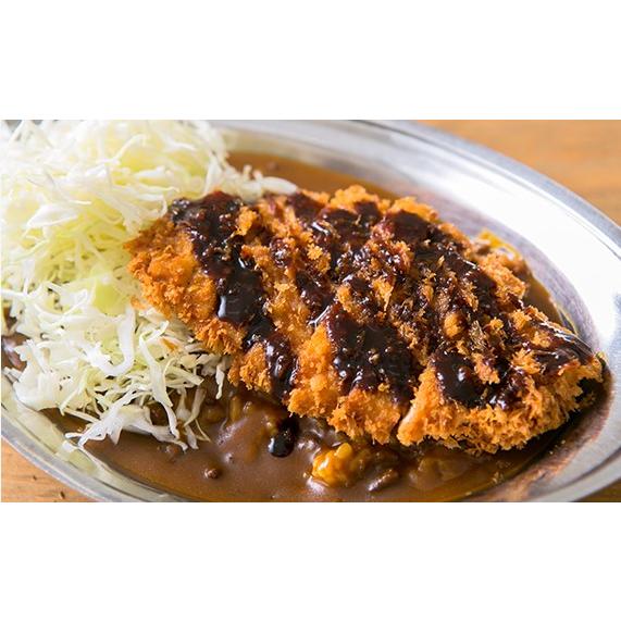 チャンピオンカレー チャンピオンカレー×てらおか風舎 能登牛カレー 200g×24箱入