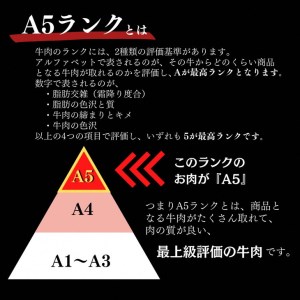 京都府産 黒毛和牛 ロース スライス 500g A4・A5   ピリ辛ぽん酢 セット京の肉 ひら山厳選《訳あり コロナ支援 和牛 牛肉 熟成》