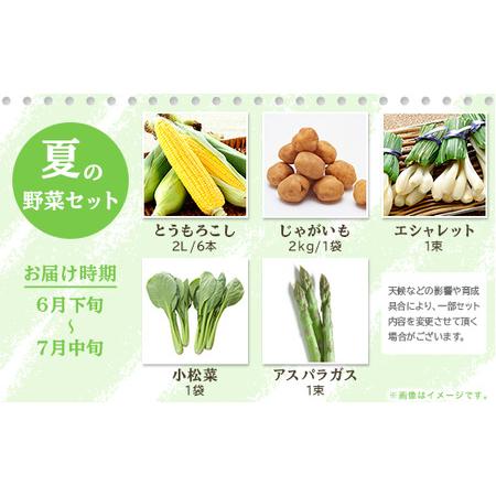 ふるさと納税 162茨城町産「旬の野菜果物」セット 茨城県茨城町