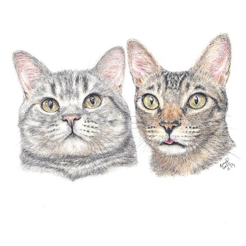 【客製】寵物手繪 | 合照 | 肖像 | 似顏繪 | 木顏色 | 貓