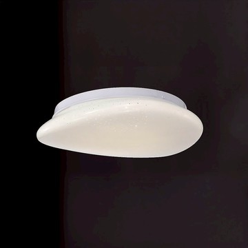 12W 單色吸頂燈 L01-2005B