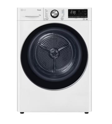 【LG 樂金】10公斤免曬衣乾衣機WR-100VW
