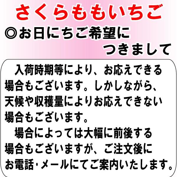 いちご さくらももいちご イチゴ 苺 AAサイズ 4パック入り 送料無料 12〜4月にお届け