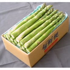 信州産露地アスパラ　約1kg