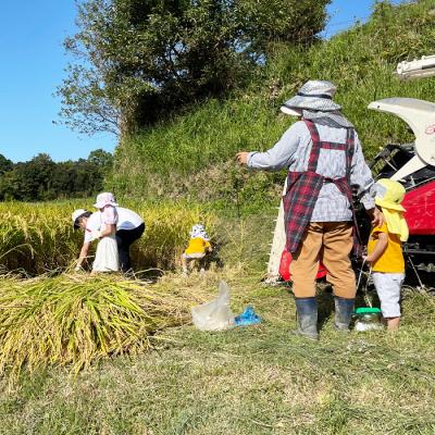 ふるさと納税 淡路市 淡路島の棚田米　5kg×6回