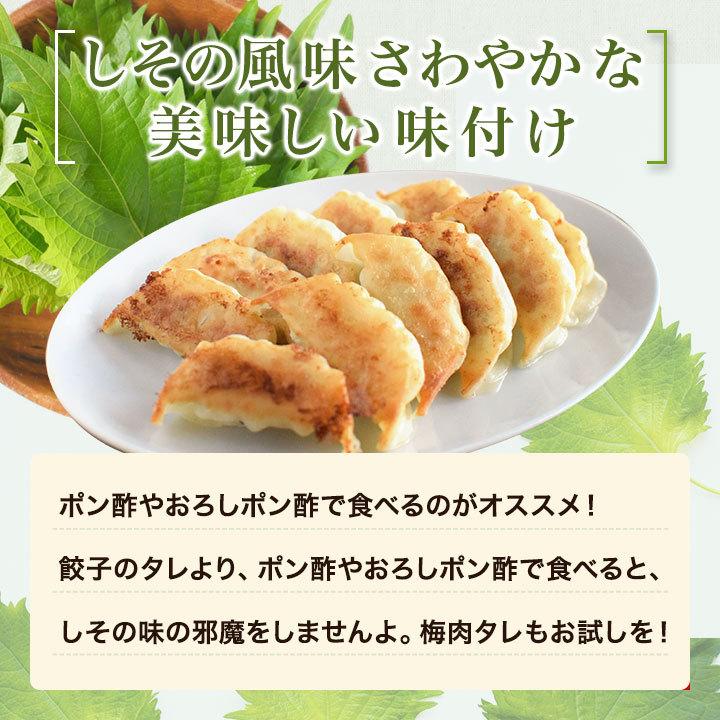 鶏しそ餃子 60個入り(30個入り×2袋) 冷凍餃子 餃子 送料無料 お試し 生餃子 冷凍生餃子 食品 惣菜 中華 鶏肉