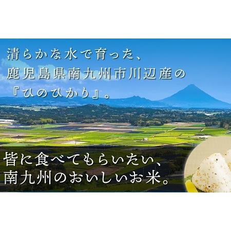 ふるさと納税 鹿児島県産米ひのひかり10kg定期便 013-07 鹿児島県南九州市