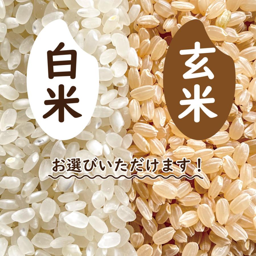 蛍の里のコシヒカリ  30kg(10kg×3) 令和５年産 １等米 滋賀県産 農家直送 送料無料