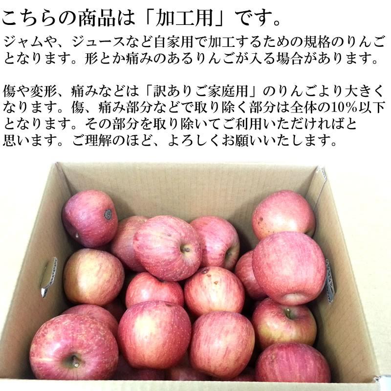 予約販売 加工用 訳あり りんご サンふじ 10kg 送料無料 山形県産 [加工用りんご１０キロ]