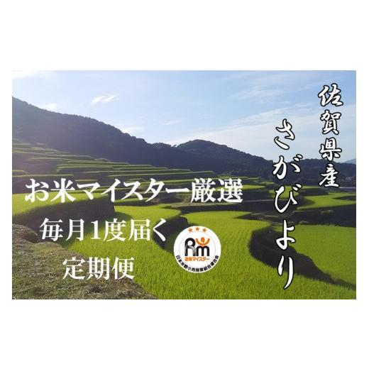 ふるさと納税 佐賀県 鹿島市 V-2 《6ヶ月定期便》鹿島市産さがびより　白米（毎月３０ｋｇ×６回）