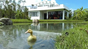 青山白雲綠水渡假首選自地自建生態農舍｜花蓮縣壽豐鄉豐坪路二段