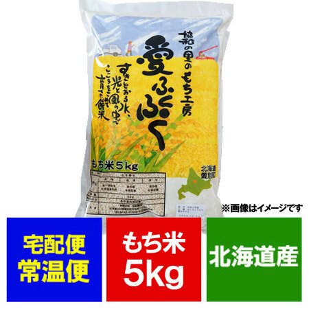 米 餅米 5kg もち米 5キロ 品種 風の子 もち米 単一原料米 もちごめ かぜのこ