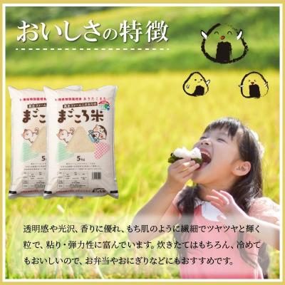 ふるさと納税 大館市 秋田県特別栽培米あきたこまち「まごころ米」10kg