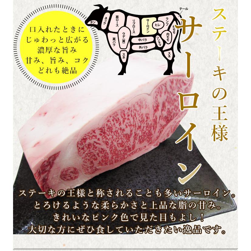 お歳暮 2023  肉 ギフト 飛騨牛 サーロイン A4〜A5等級 165g×3枚 ステーキ 化粧箱入 黒毛和牛 お祝 内祝 御祝 牛肉 和牛 帰省土産 冬ギフト