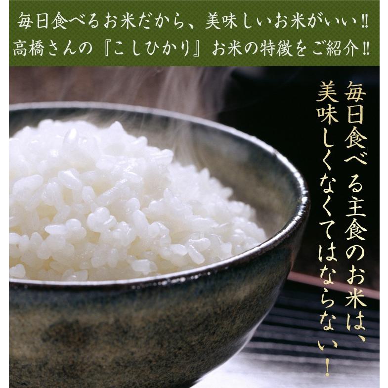 新米 令和3年 自然栽培米 無農薬 新米 米 送料無 5kg 高級 お歳暮 ギフト 高級 贈答 プレゼント 食べ物 純国産 金賞 コシヒカリ 送料無料 お祝い