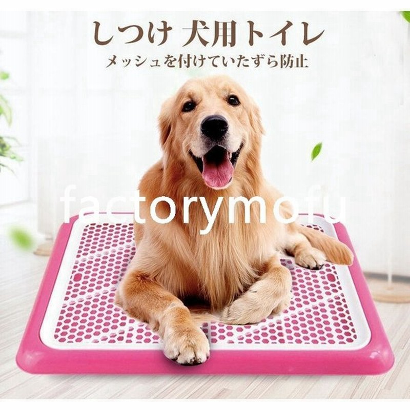 しつけ 犬用トイレ ペット トイレ用品 トイレ容器 トレーニングトイレ 子犬 小型犬 室内犬 ペット用トイレ ペット用品 オシャレ トイレ用品 通販 Lineポイント最大get Lineショッピング