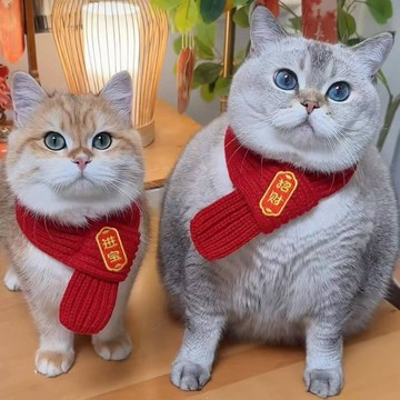 熱銷 寵物圍巾 2026新款 高顏值 保暖 貓咪 狗狗 新年 裝飾 圍巾 紅色 可愛 毛線  針織 小狗喜慶 圍脖