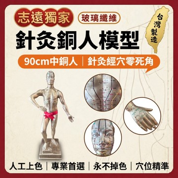 【志遠】§台灣製現貨§ 針灸銅人模型(中) 90cm 玻璃纖維 經外奇穴銅人 針灸經穴模型 經穴銅人 人體穴位 中醫經絡