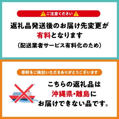 ふるさと納税 五所川原市 りんご約10kgサンふじ確約青森産品種おまかせ2種以上