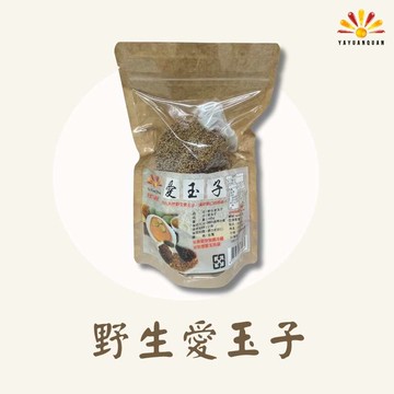 【亞源泉】天然野生愛玉子 180g/包 11包組