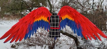 用於 cosplay 服裝和拍照的 XL 可移動猩紅色金剛鸚鵡翅膀、鸚鵡翅膀