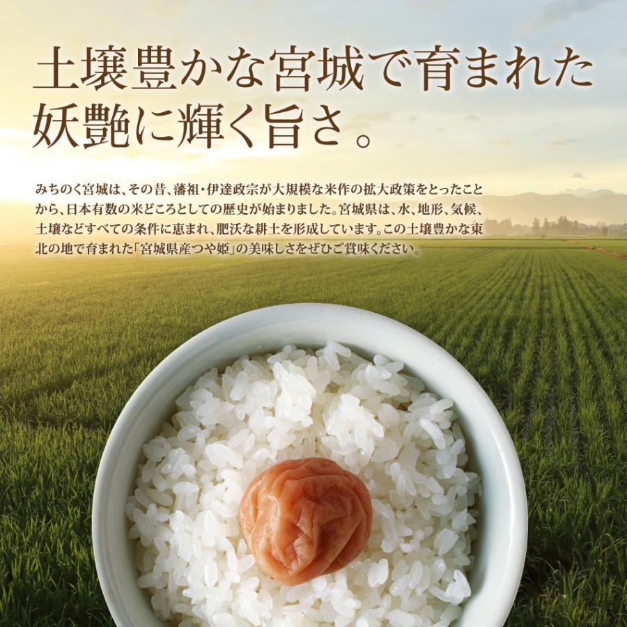 新米 つや姫 20kg 米 米20kg お米 白米 宮城県産 令和5年産 送料無料 5kg×4袋セット