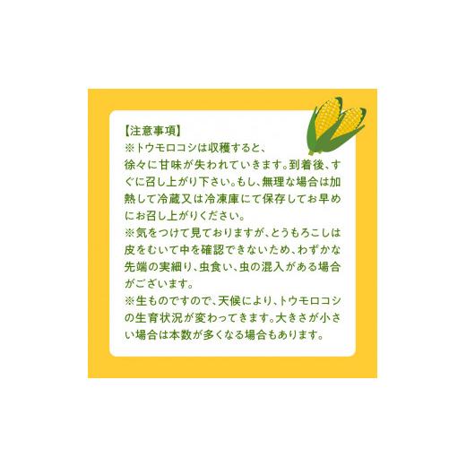 ふるさと納税 福岡県 久留米市 ＳＤＧｓ米糠堆肥で作ったとうもろこし「博多あまっコーン（品種おおもの）」約４.5キロ以上