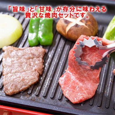 ふるさと納税 杵築市 おおいた和牛もも焼肉用 600g(杵築市)