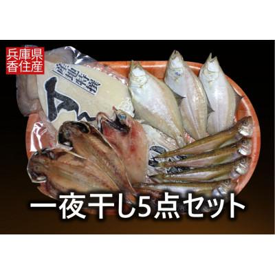 ふるさと納税 香美町 一夜干し5点セット