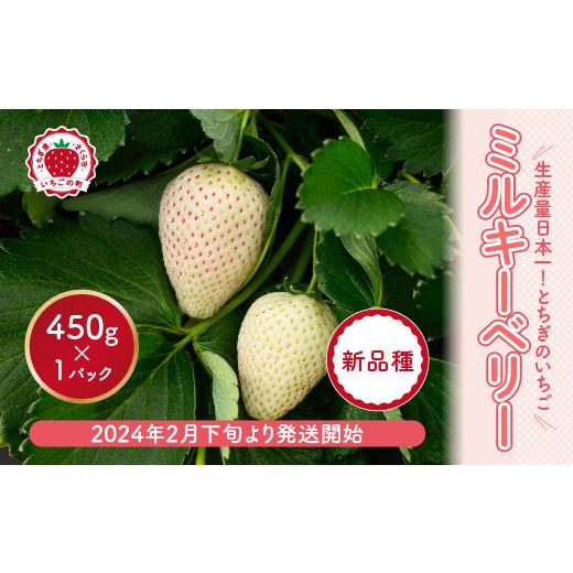 ふるさと納税 栃木県 さくら市 いちご　ミルキーベリーセット　450g×1パック※着日指定不可※2024年2月下旬〜5月下旬頃に順次発送予定