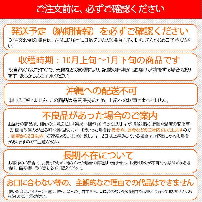 レモン 無農薬 国産 10kg 送料無料 グリーンレモン 青レモン 無農薬レモン ノーワックス 有機栽培 和歌山産 レモン酢 塩レモン 産地直送 グリーンジャンクション