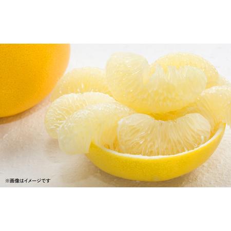 ふるさと納税 晩白柚 2Lサイズ 10kg（約2kg×5玉) 熊本県八代市