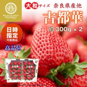 [予約 2024年1月5日-1月30日の納品] 古都華 2L 3Lサイズ 大粒 約300g×2 奈良県産ほか 高糖度 イチゴ いちご 苺 ブランドいちご ギフト