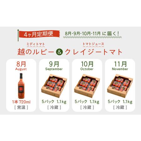 ふるさと納税 定期便 ≪4ヶ月連続お届け≫ 「越のルビー」ミディトマト5パックと完熟収穫にこだわったトマトジュース！「クレイジー.. 福井県坂井市