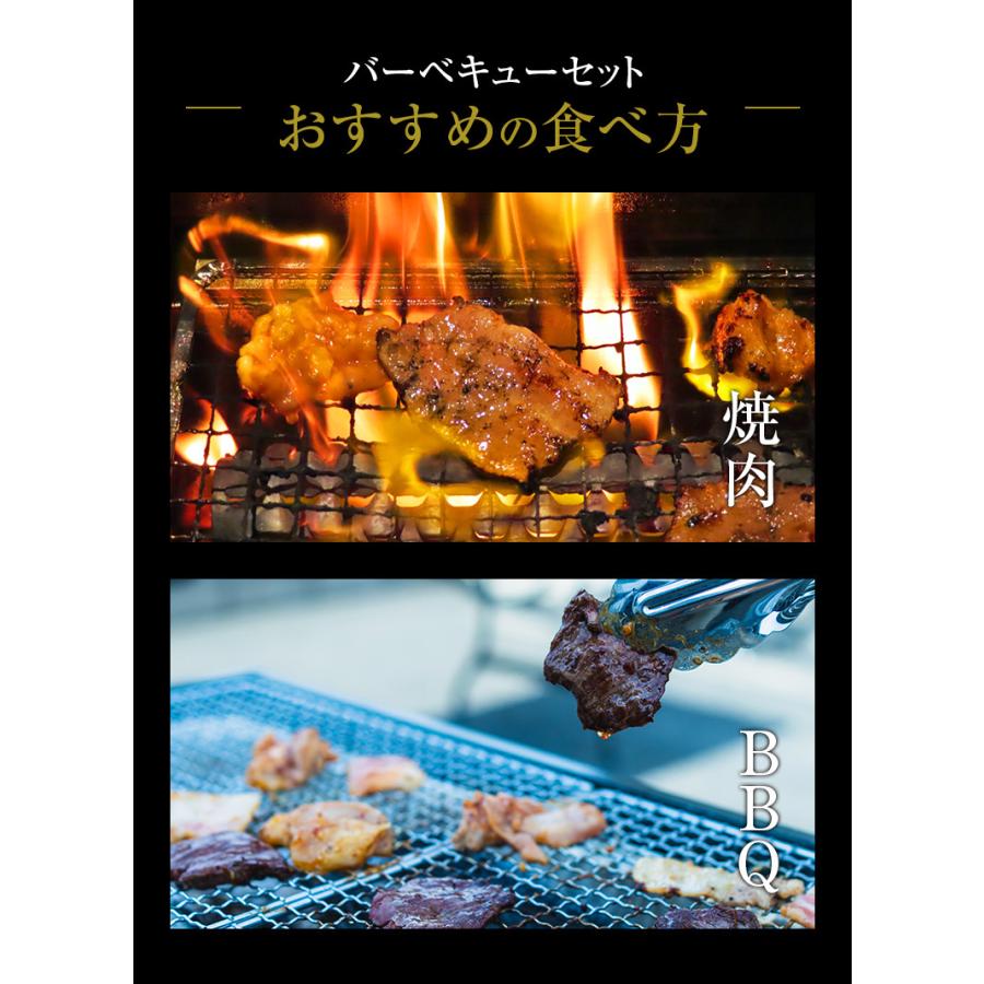 バーベキューセット たれ漬けセット 6-8人盛  BBQ 焼肉セット カルビ ハラミ 豚バラ とりもも 1.6kg 送料無料 食品 牛肉 メガ盛り 焼き肉 焼肉用 お肉 肉