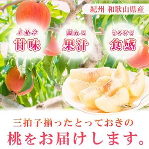 秀品　紀州和歌山産の桃　３玉　化粧箱入